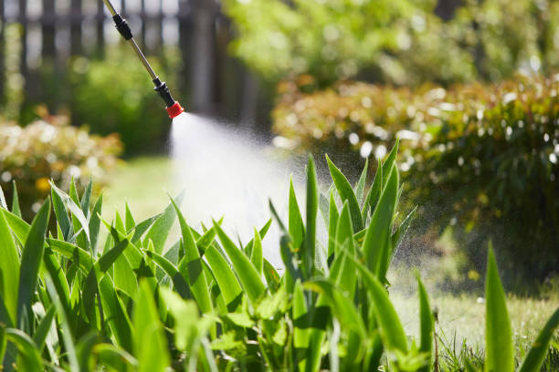 Tamper-Resistant Bait Stations for Rodents in Panhandle