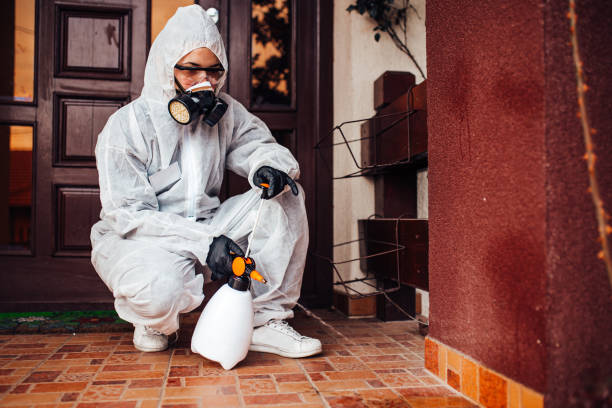 Attic and Crawl Space Rodent Treatment in Panhandle